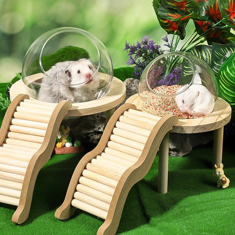 Insect Hotel Wood - Hamster Bath House with Wooden Ladder