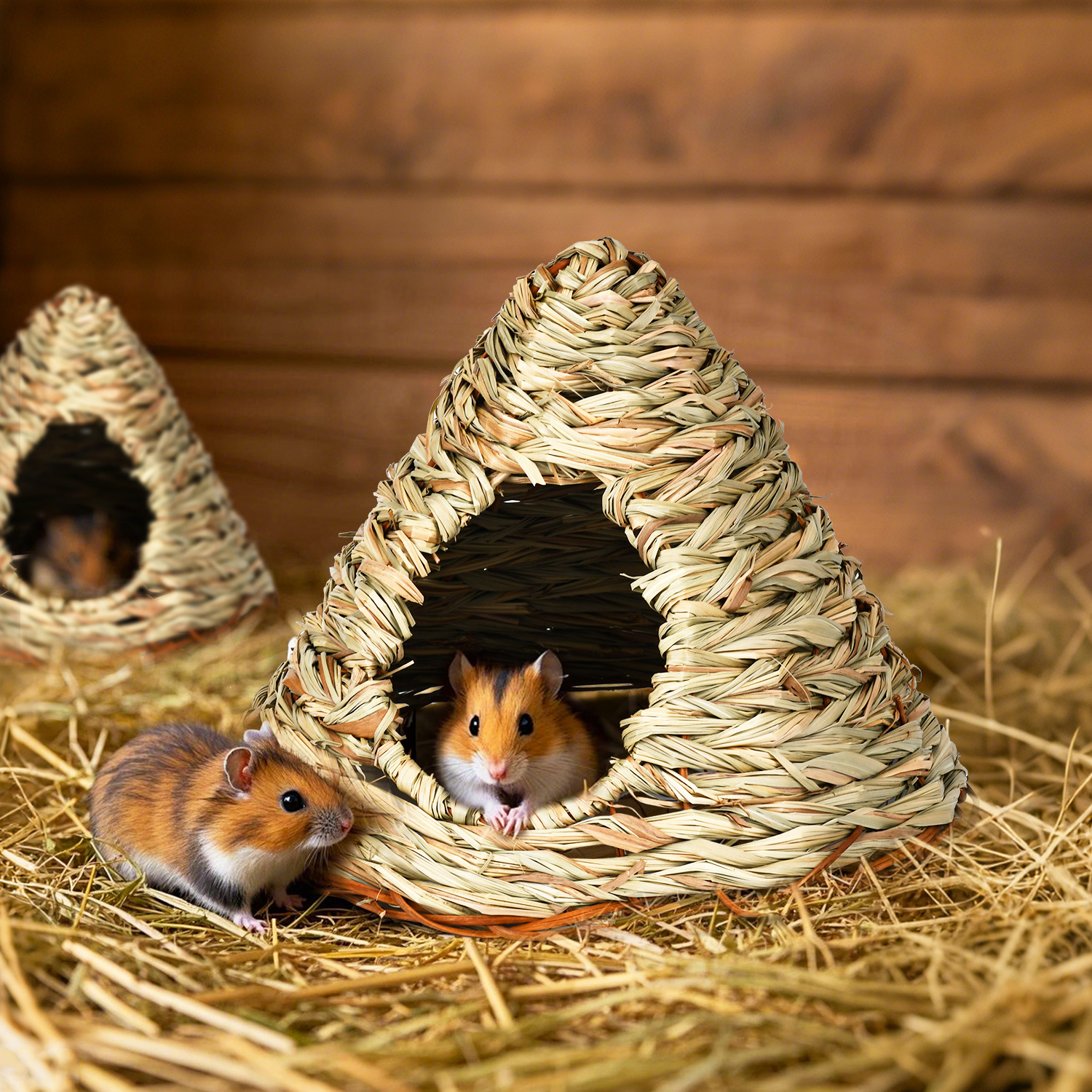 Insect Hotel Wood - Hamster House Handmade Straw Cage Golden