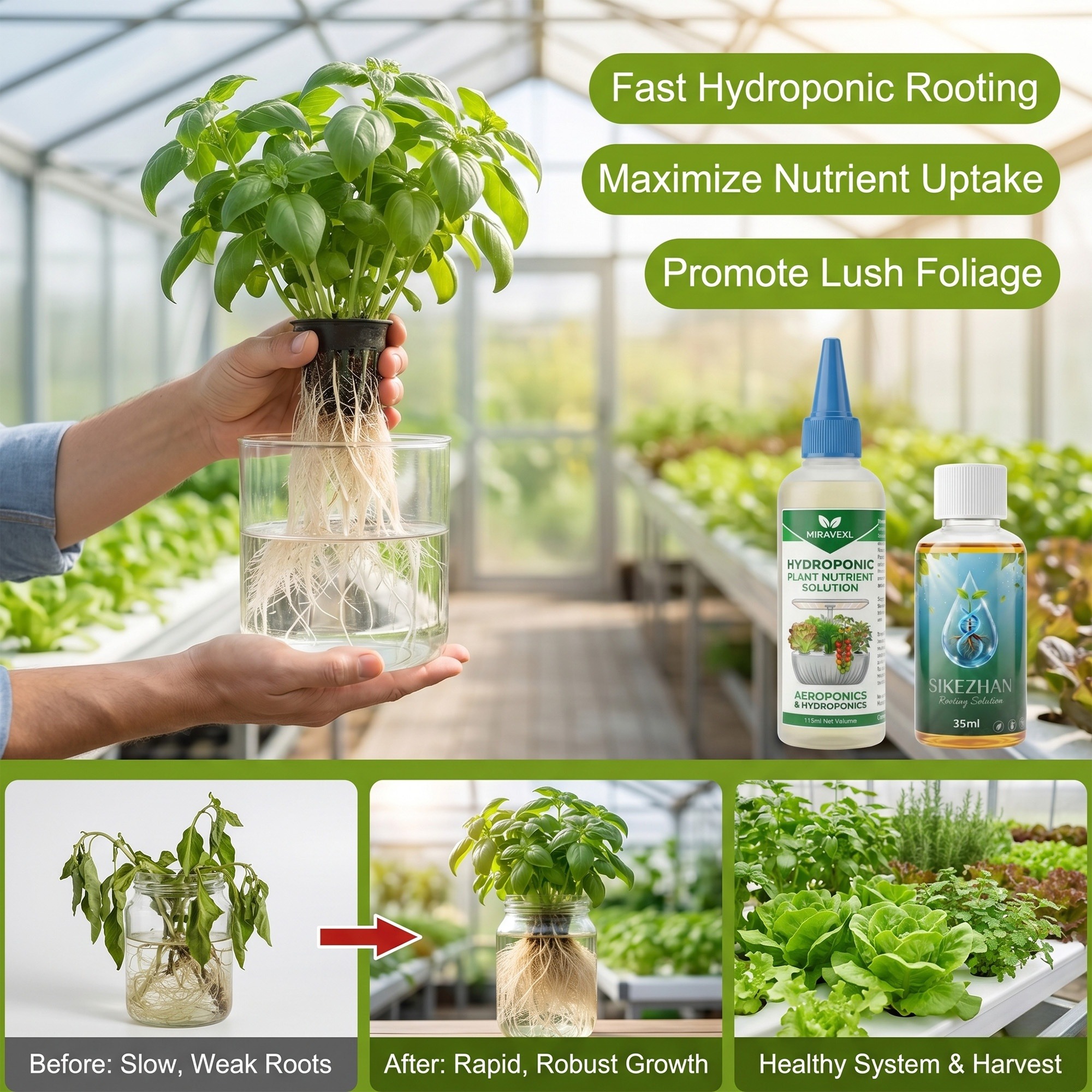 Hydroponic Nutrient Solution R - Composting Kit Indoor のレビューと価格