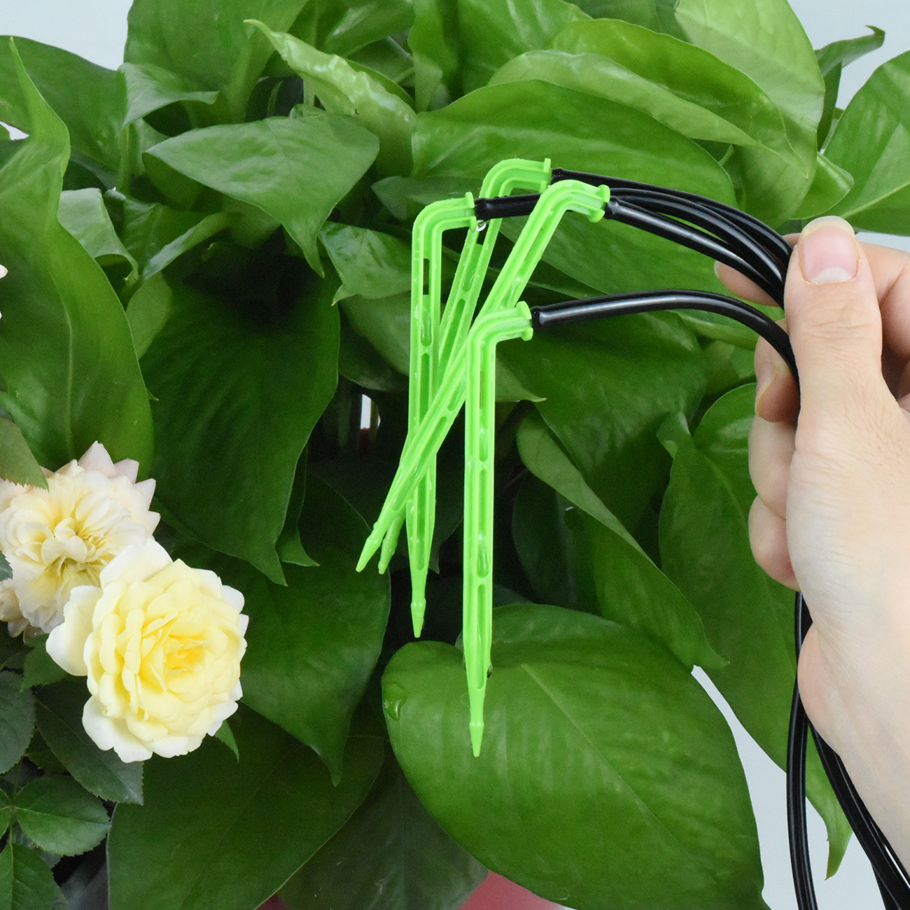 KESLA Garden 4/7mm to 3/5mm Ho - Smart Garden Hose のレビューと価格