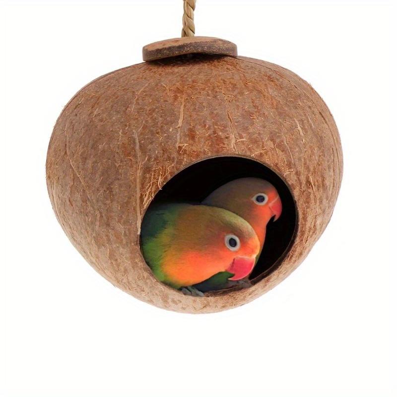 Parrot Natural Coconut Shell B - Insect Hotel Wood のレビューと価格