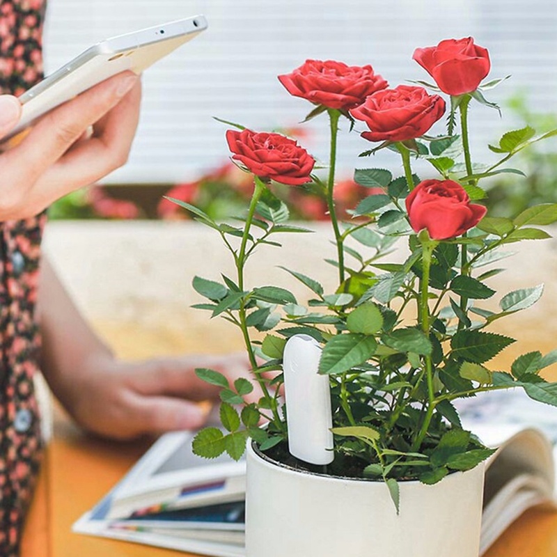 HHCC Flower Monitor Flora Gard - Smart Garden Water のレビューと価格