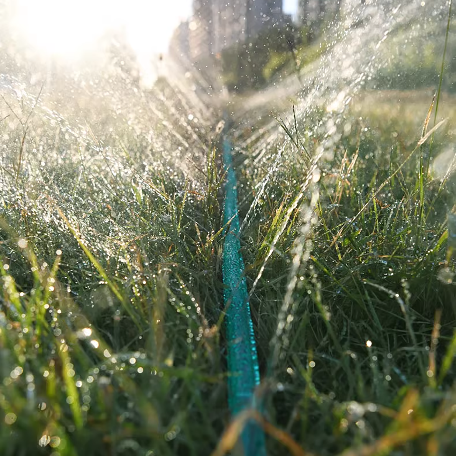 3/4.5/7.5/10/15M Porous Soaker - Smart Garden Watering のレビューと価格