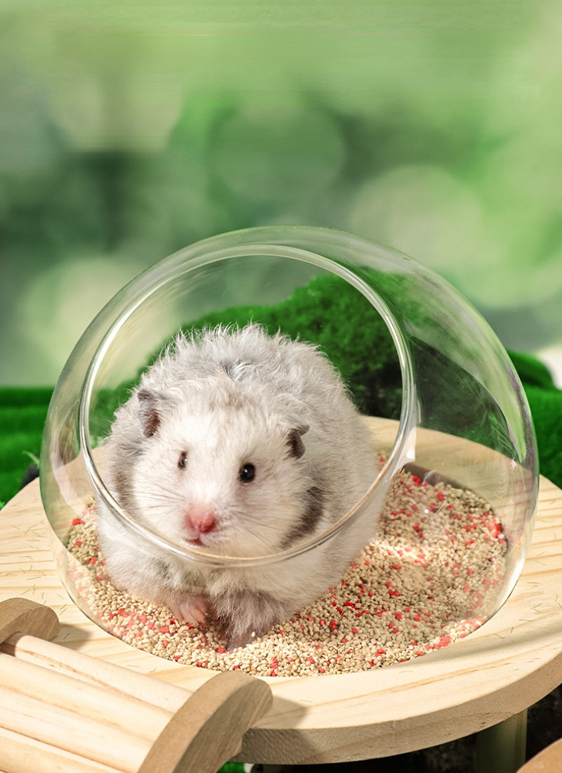 Hamster Bath House with Wooden - Insect Hotel Wood のレビューと価格