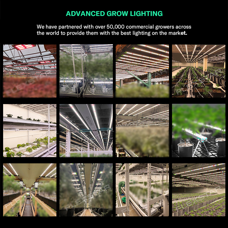 Lm301h Evo 281b Full Spectrum  - Plant Grow Light Full Spectrum のレビューと価格