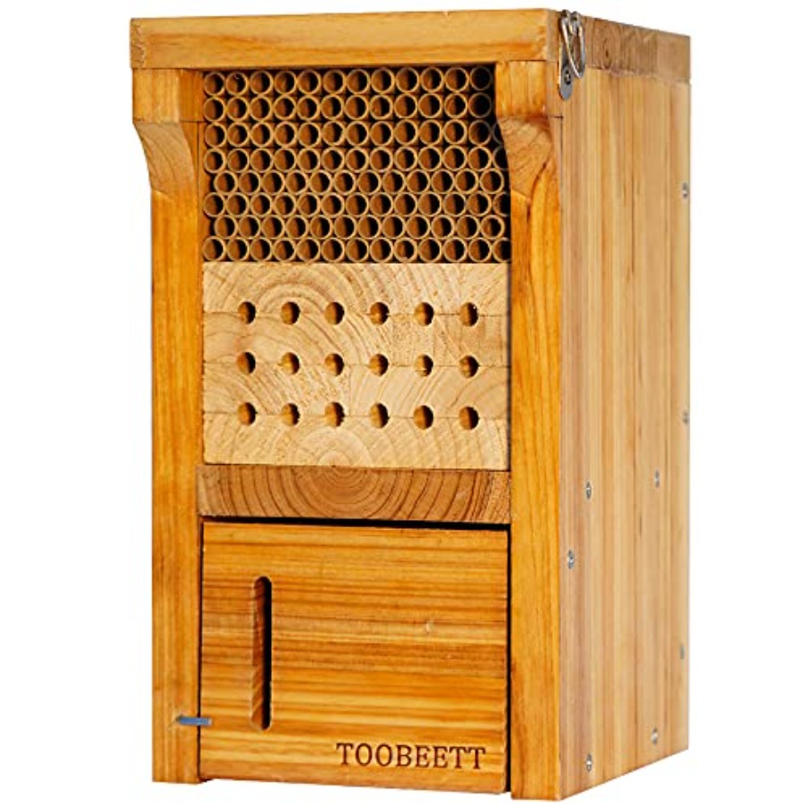 Mason Bee House Wax Coated Mas - Insect Hotel Wood のレビューと価格
