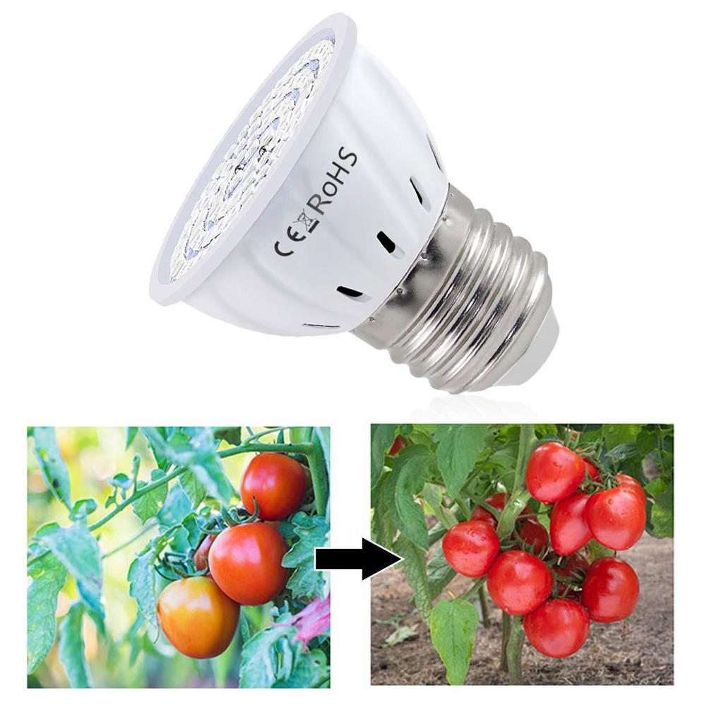 LED Grow Bulb E27 60 80LEDs Fu - Plant Grow Light Full Spectrum のレビューと価格