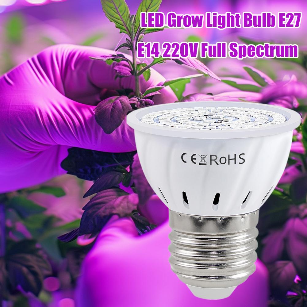 LED Grow Bulb E27 60 80LEDs Fu - Plant Grow Light Full Spectrum のレビューと価格