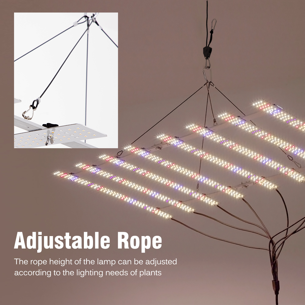 🌴100W 200W with Dimmable Switc - Plant Grow Light Full Spectrum のレビューと価格