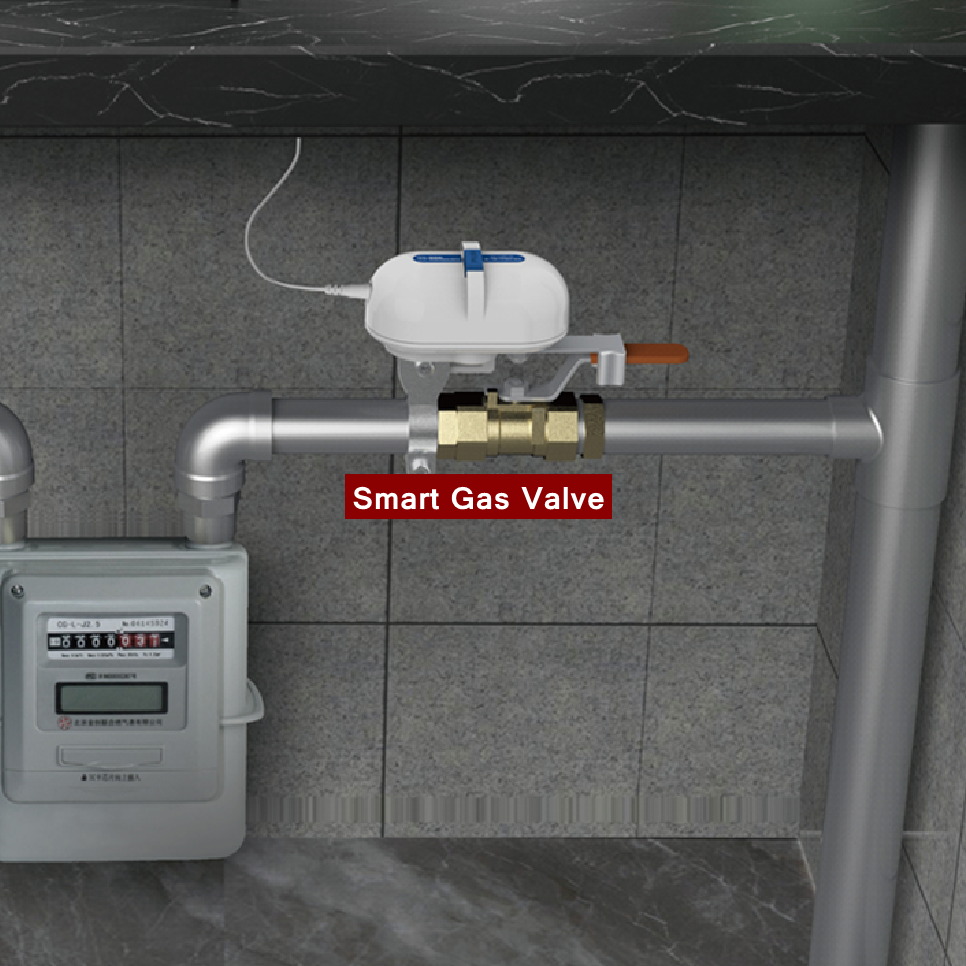 Tuya Smart Home WiFi Zigbee Wa - Smart Garden Water のレビューと価格