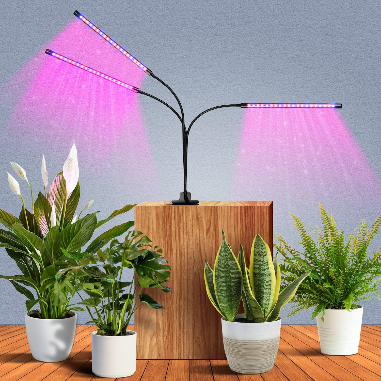 USB Phyto Lamp Full Spectrum H - Plant Grow Light Full Spectrum のレビューと価格