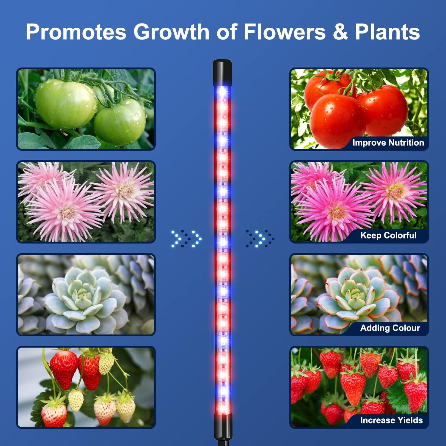 USB Phyto Lamp Full Spectrum H - Plant Grow Light Full Spectrum のレビューと価格