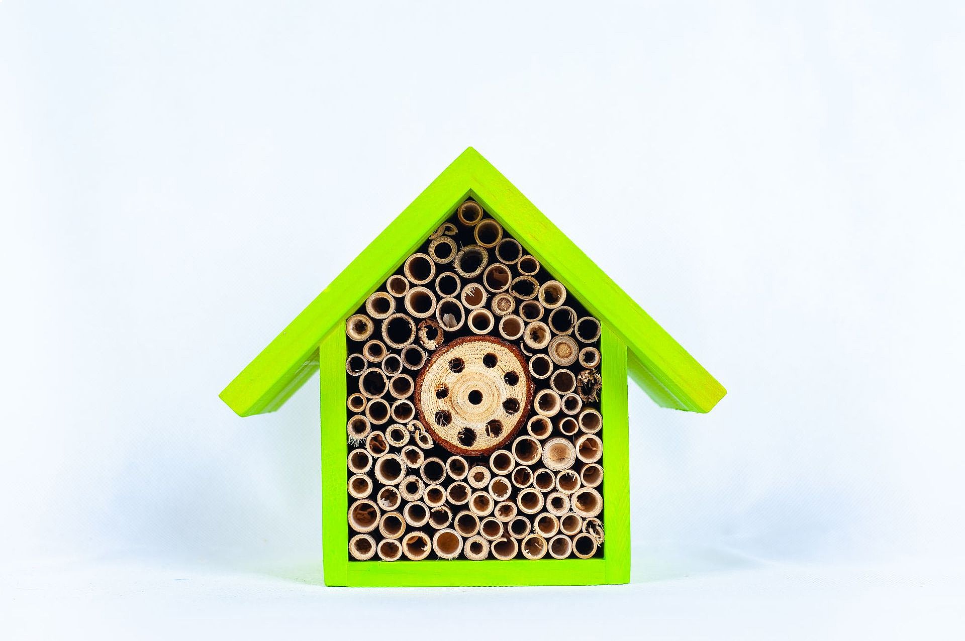 Custom Wooden Insect House Han - Insect Hotel Wood のレビューと価格