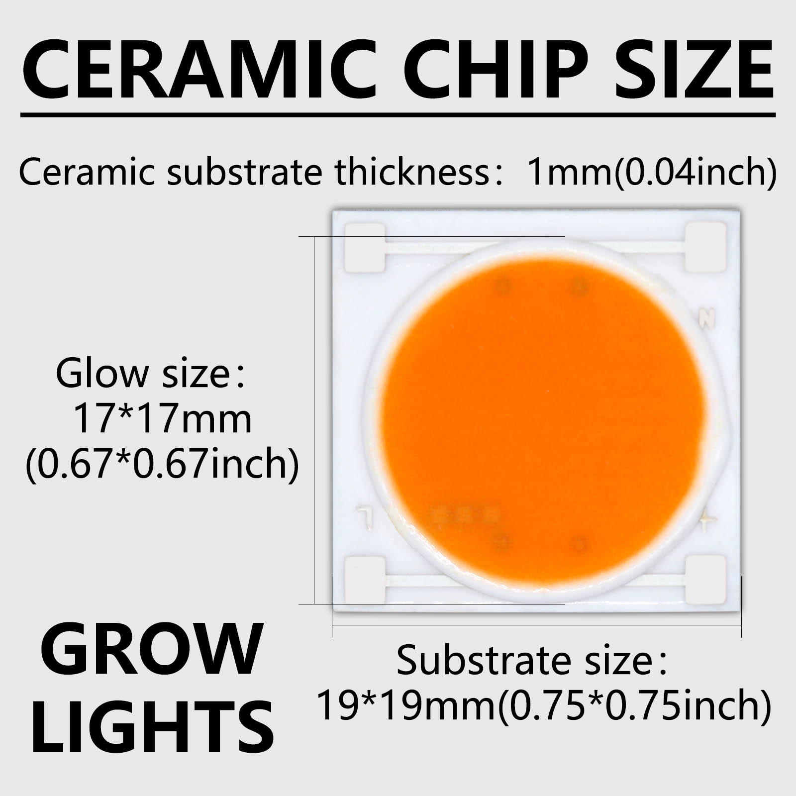 5pcs Ceramics Base LED COB Chi - Plant Grow Light Full Spectrum のレビューと価格