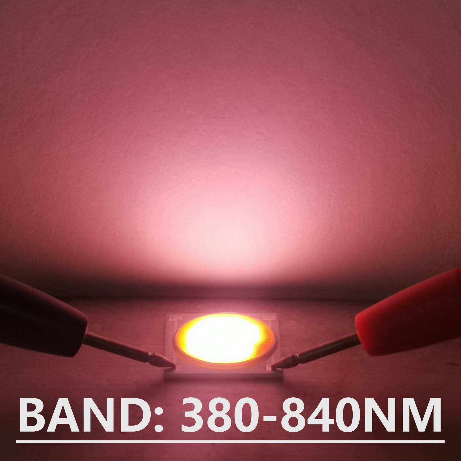 5pcs Ceramics Base LED COB Chi - Plant Grow Light Full Spectrum のレビューと価格
