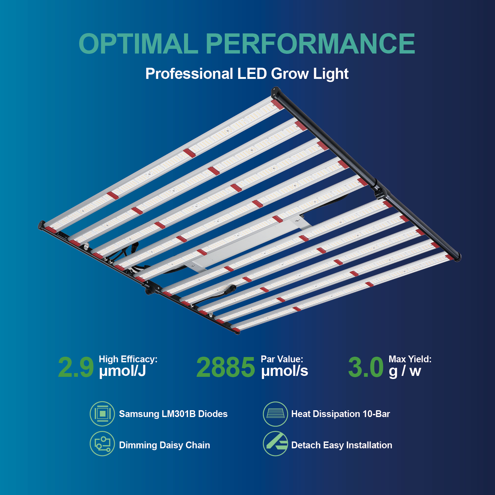 ETL 240W 320W 600W 800W 1000W  - Plant Grow Light Full Spectrum のレビューと価格