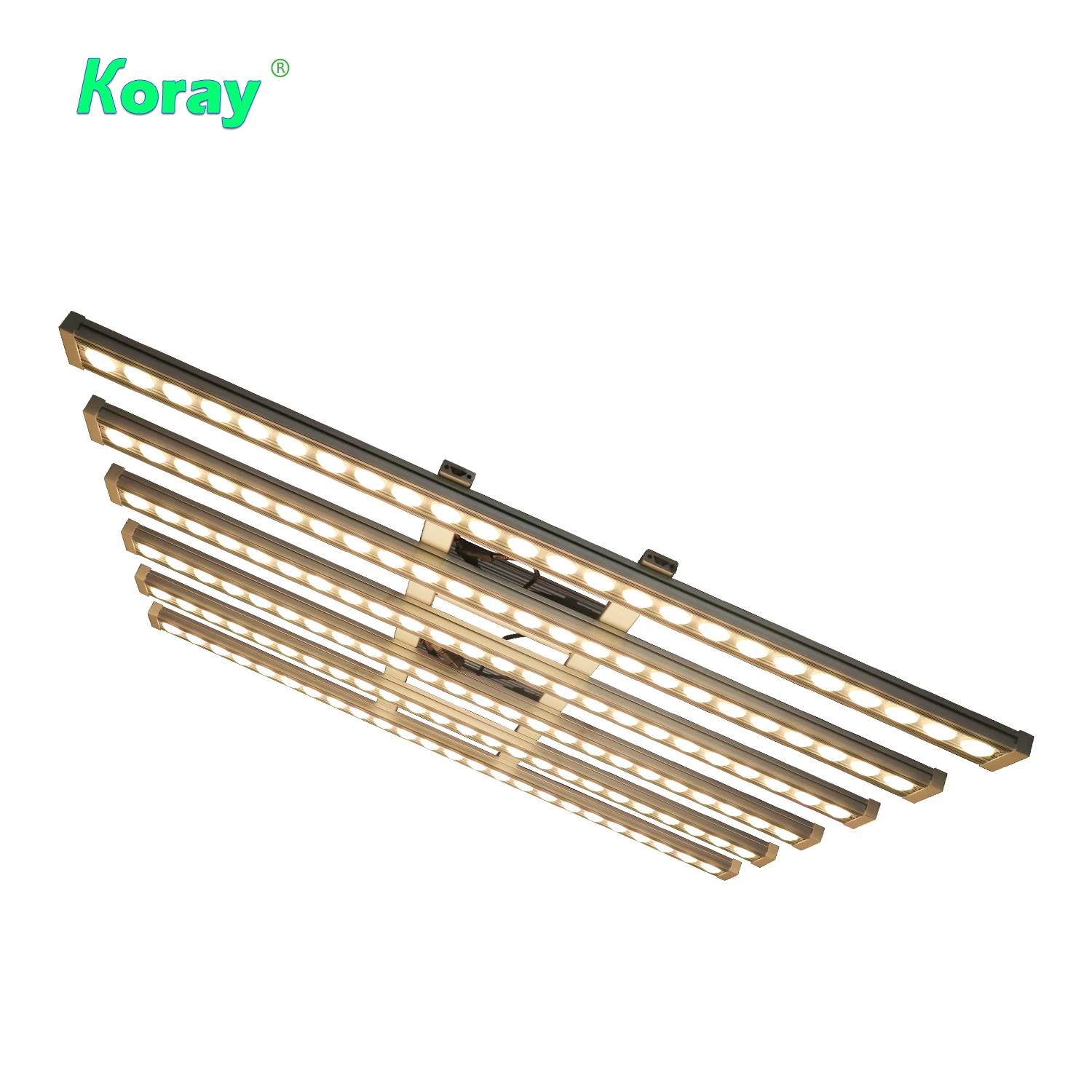 Koray 900W Indoor full spectru - Plant Grow Light Full Spectrum のレビューと価格