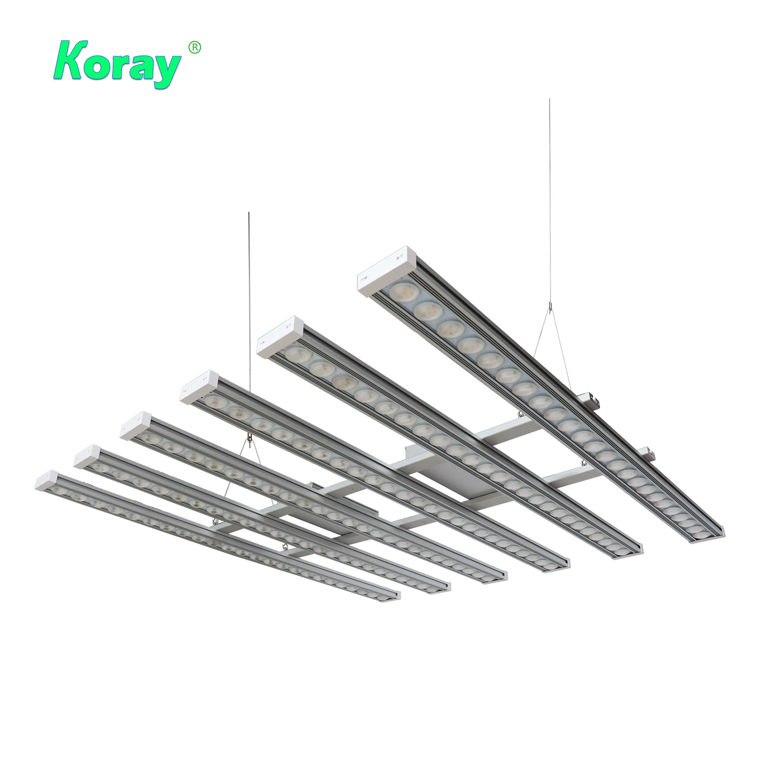 Koray 900W Indoor full spectru - Plant Grow Light Full Spectrum のレビューと価格