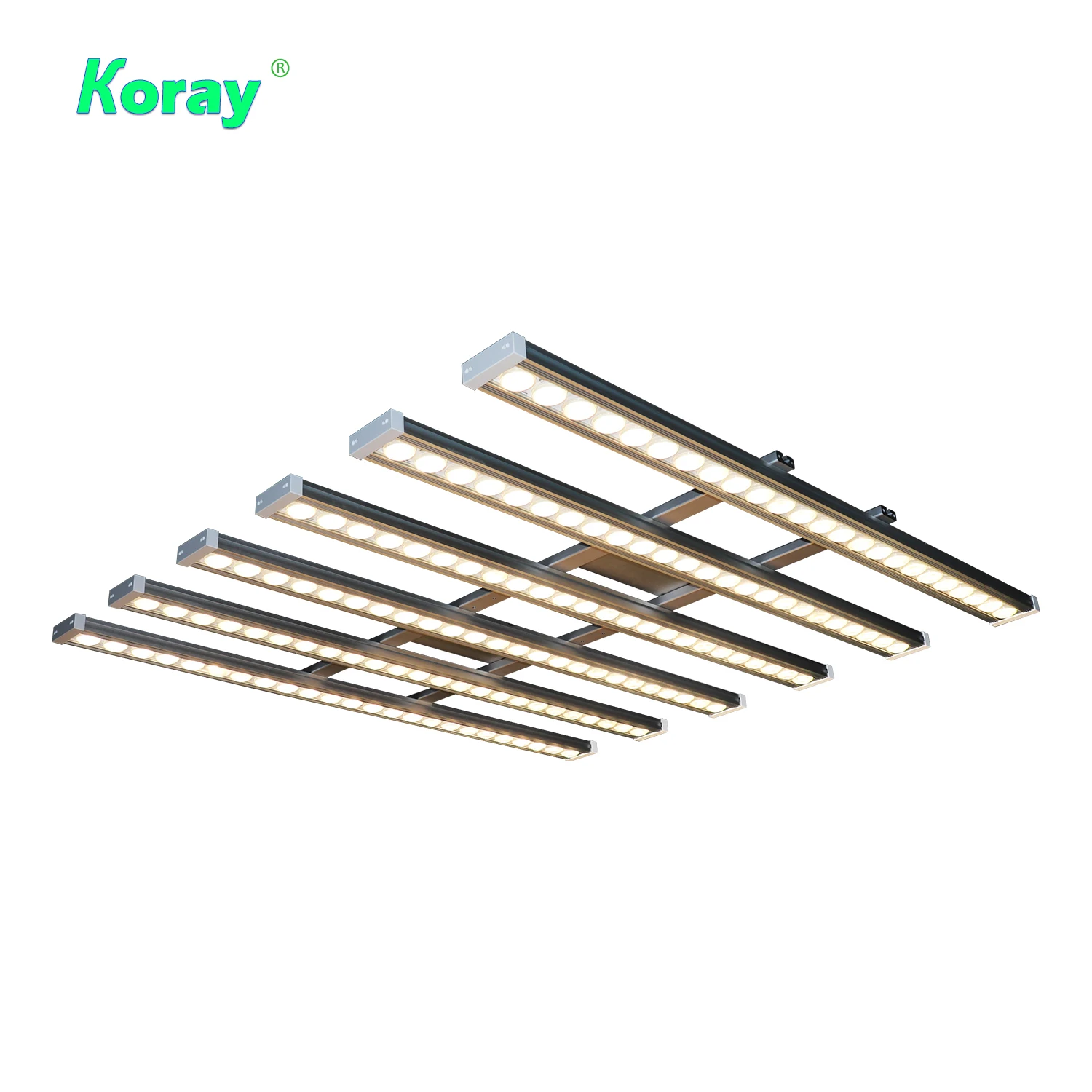 Koray 900W Indoor full spectru - Plant Grow Light Full Spectrum のレビューと価格