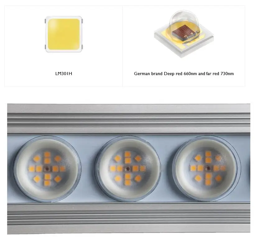 Koray 900W Indoor full spectru - Plant Grow Light Full Spectrum のレビューと価格