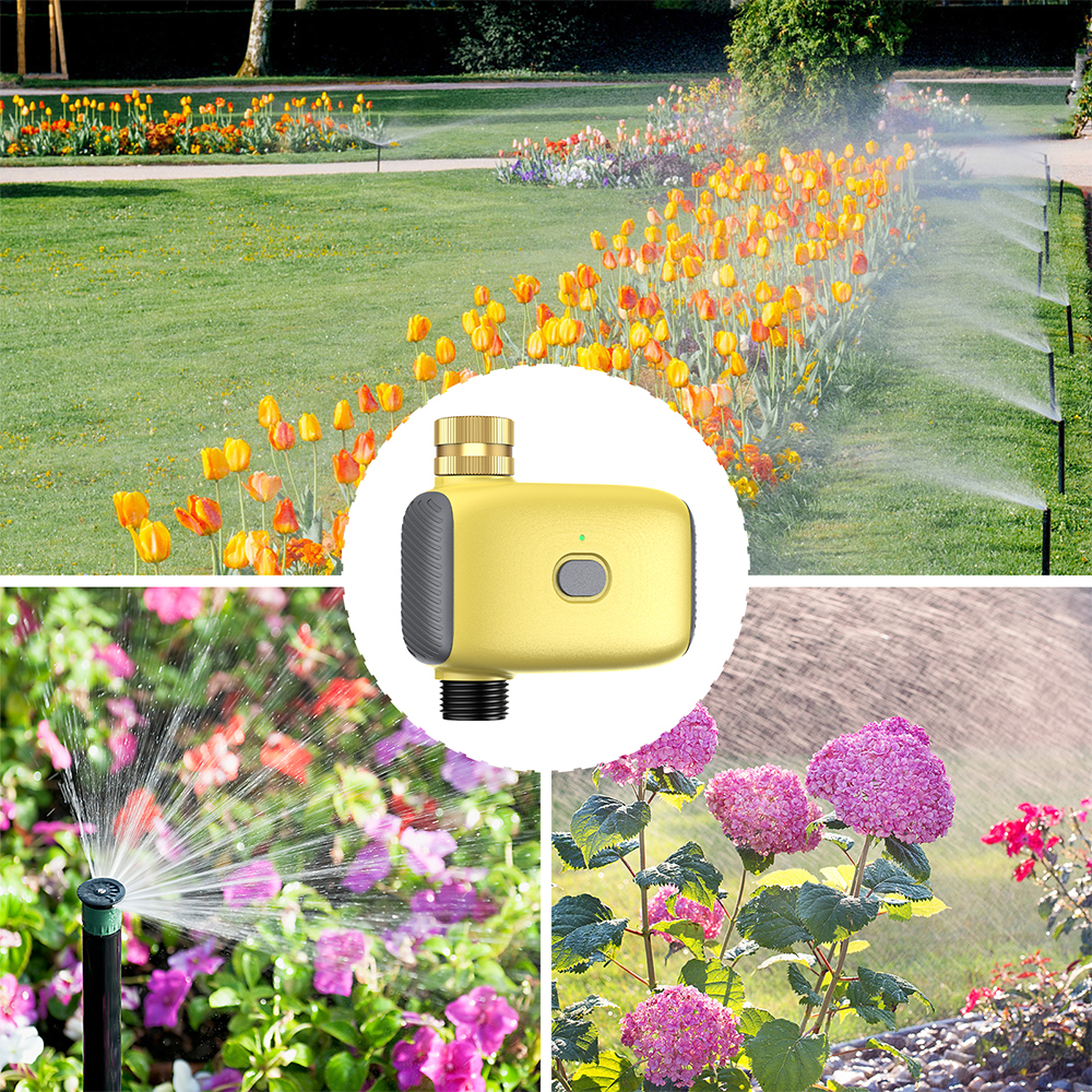 Wholesale Smart Digital  Water - Smart Garden Water のレビューと価格